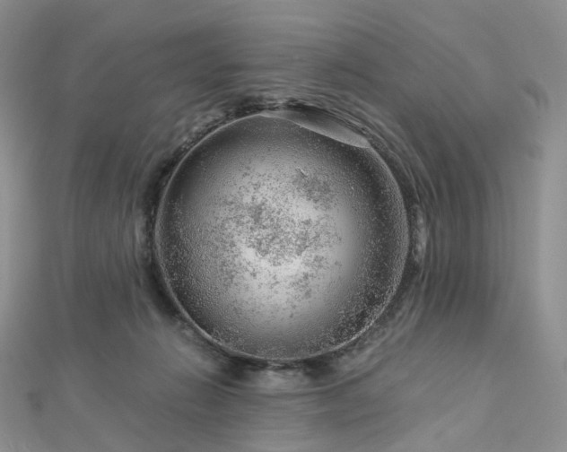 X0000112900270200908211523