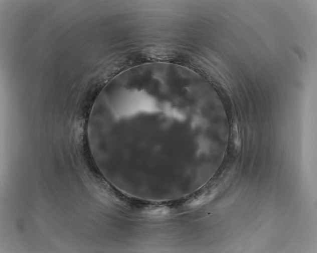 X0000112900271200908211523