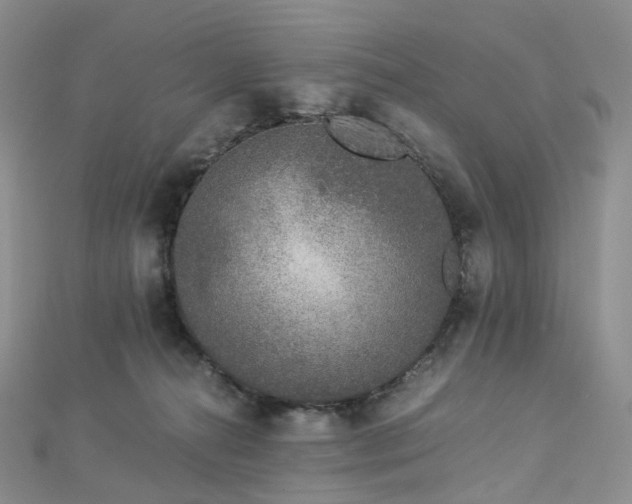 X0000112900272200908211523