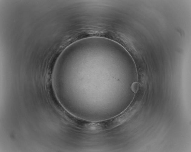 X0000112900273200908211523