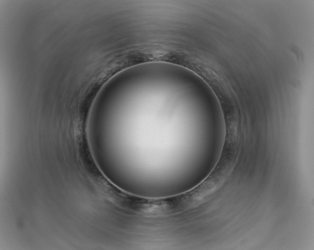 X0000112900274200908211523