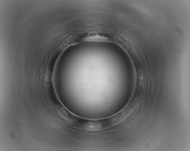 X0000112900275200908211523