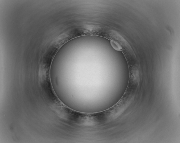 X0000112900276200908211523