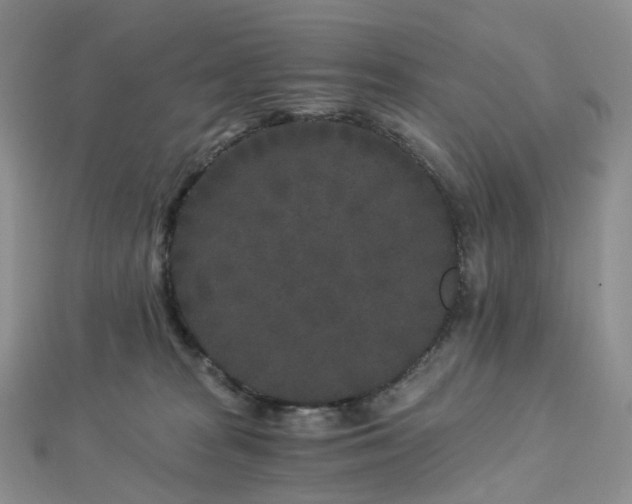 X0000112900277200908211523