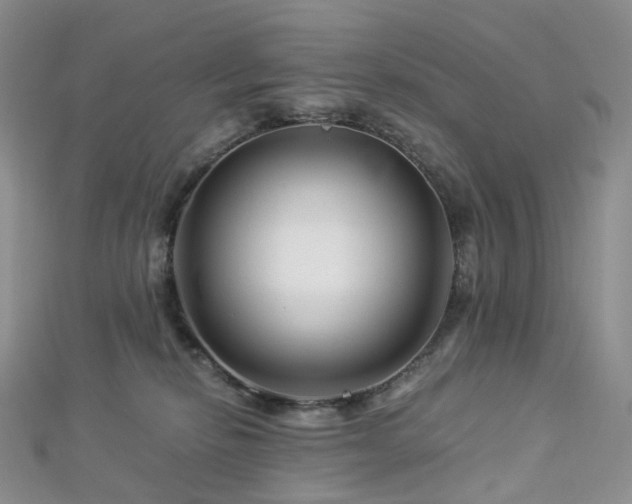 X0000112900278200908211523