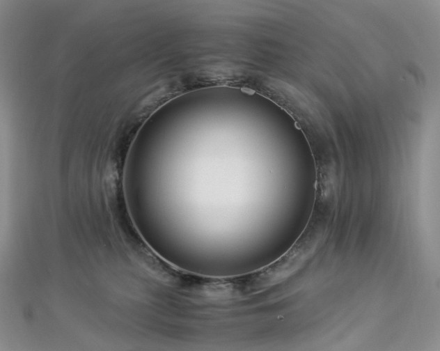 X0000112900279200908211523