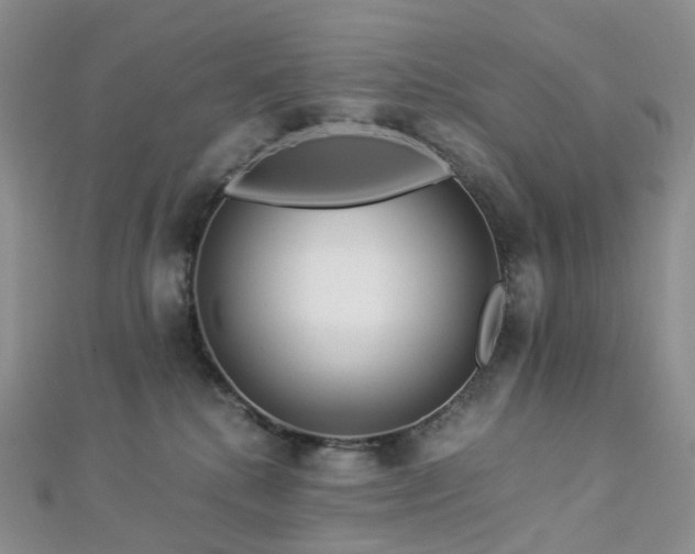 X0000112900280200908211523