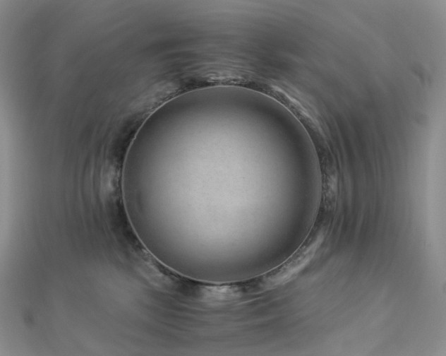 X0000112900281200908211523