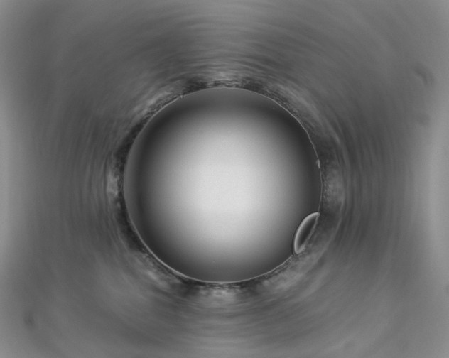 X0000112900282200908211523