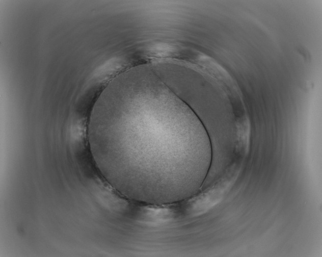 X0000112900284200908211523