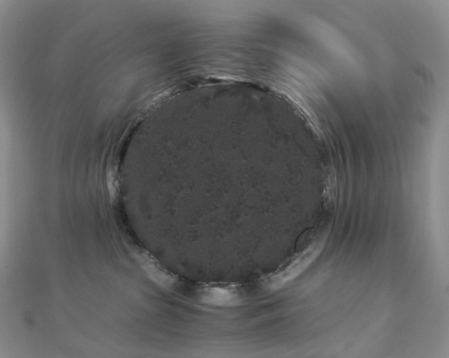 X0000112900285200908211523