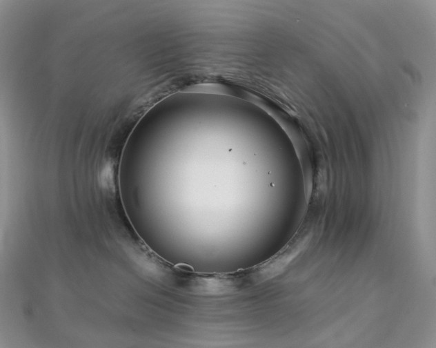 X0000112900286200908211523