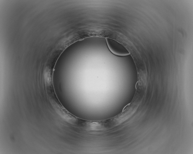 X0000112900287200908211523