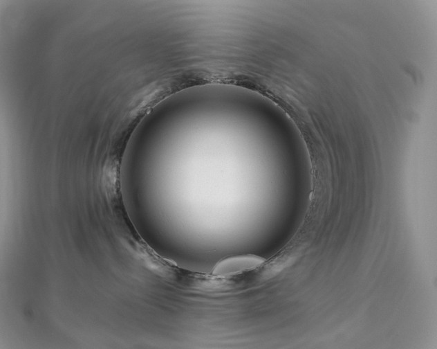 X0000112900288200908211523