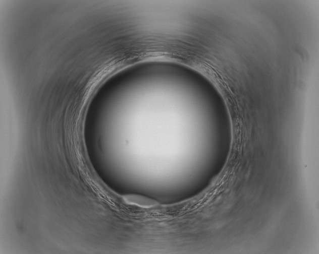 X0000112900289200908211523