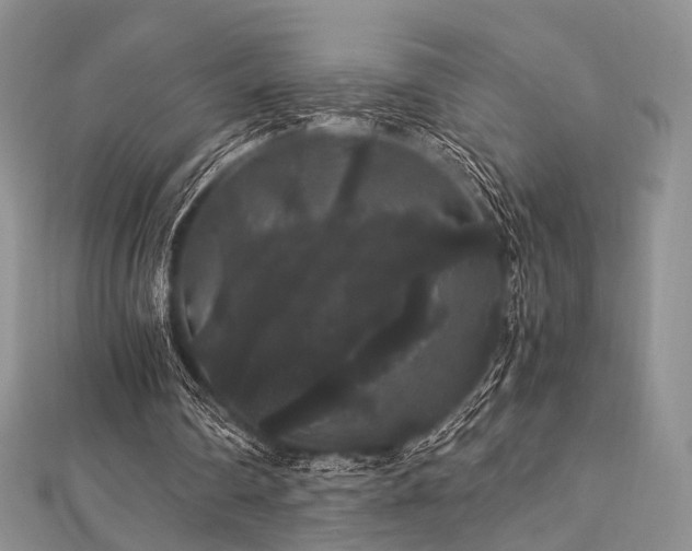 X0000112900290200908211523