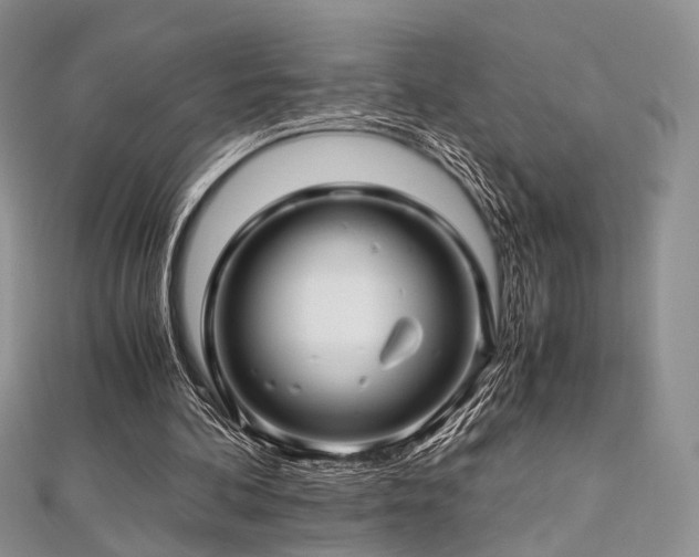 X0000112900292200908211523