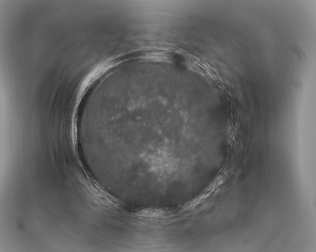 X0000112900294200908211522