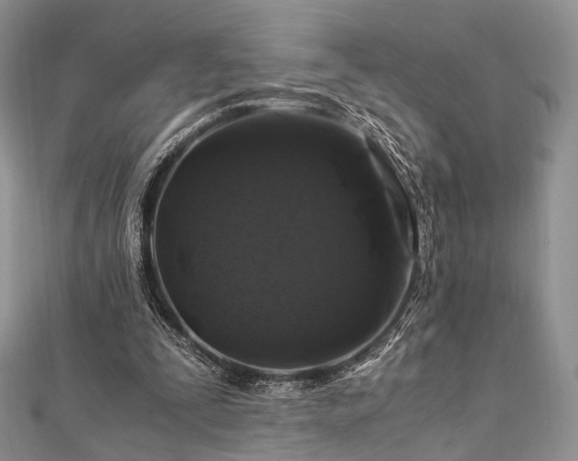 X0000112900295200908211522