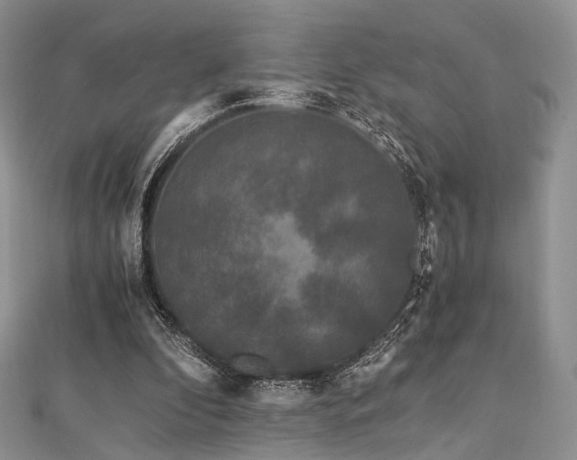 X0000112900296200908211522