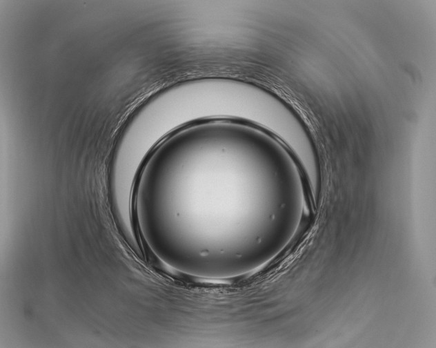 X0000112900297200908211522