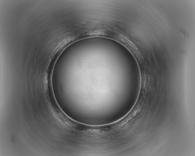 X0000112900298200908211522