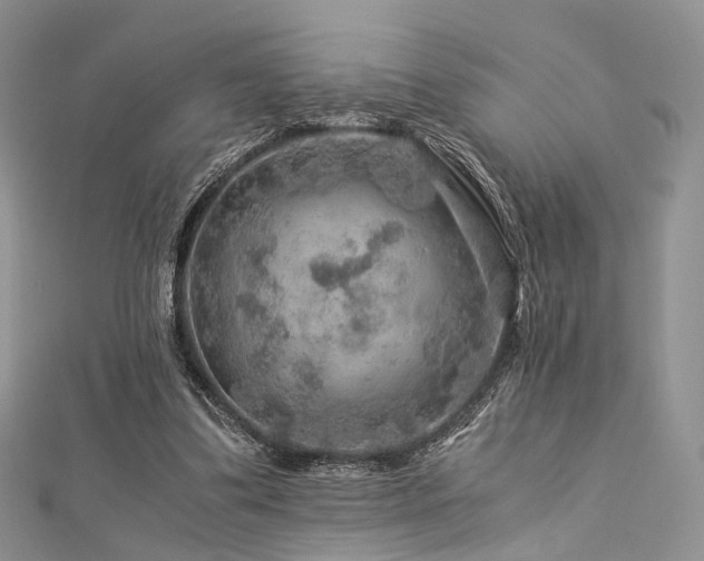 X0000112900299200908211522