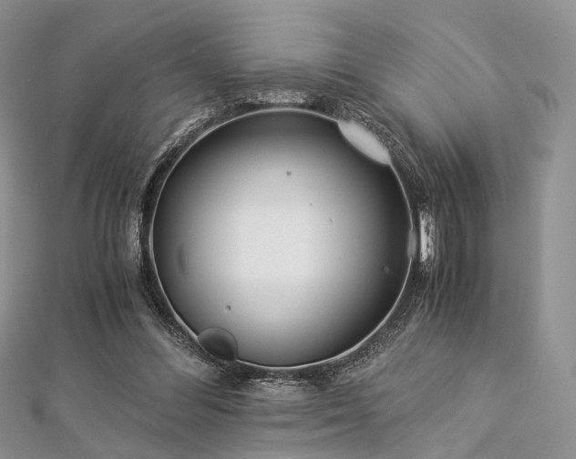 X0000112900300200908211522