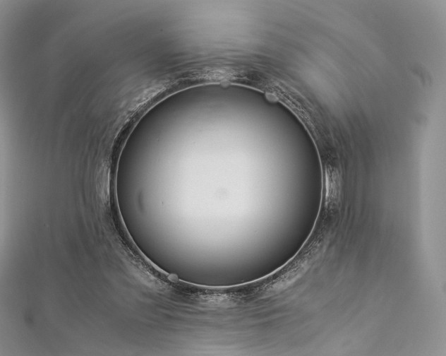 X0000112900301200908211522