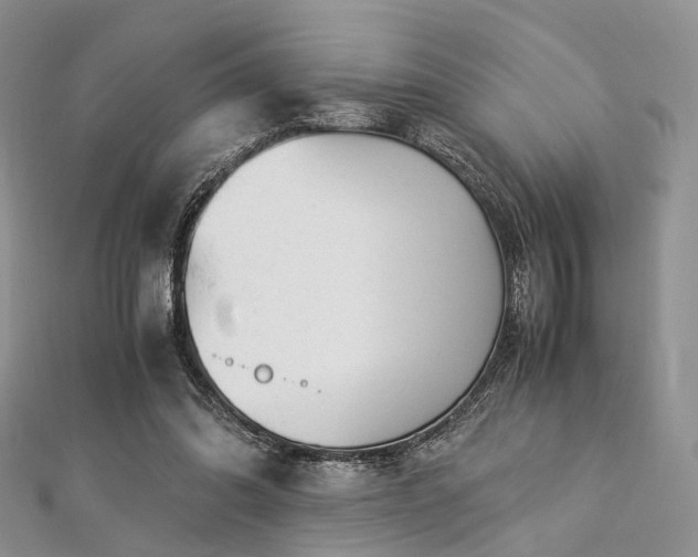 X0000112900302200908211522