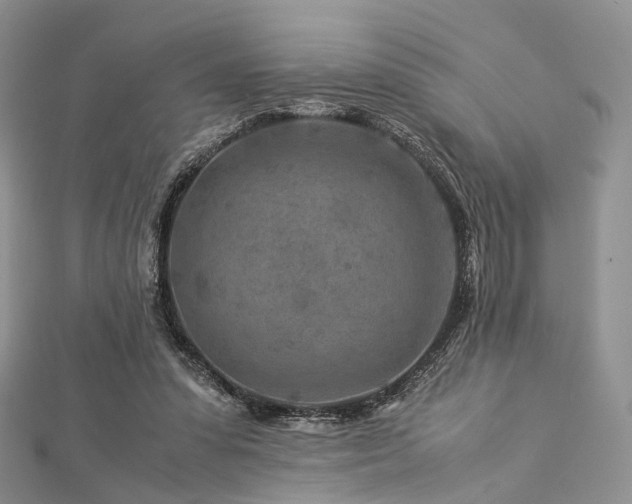 X0000112900303200908211522