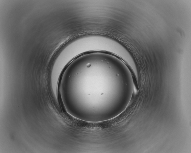 X0000112900304200908211522