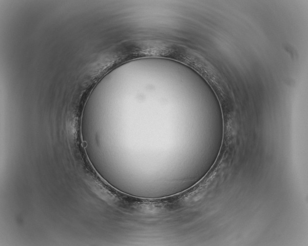 X0000112900305200908211522