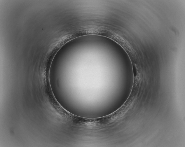 X0000112900306200908211522