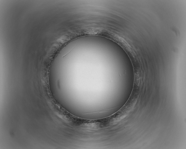 X0000112900307200908211522