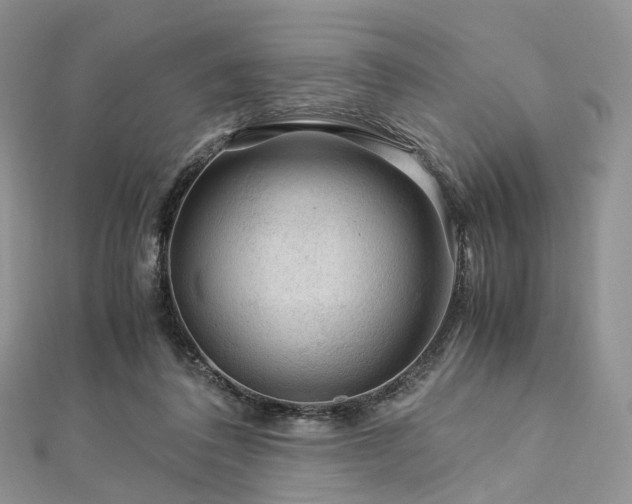 X0000112900308200908211522