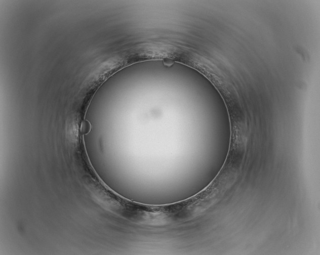 X0000112900309200908211522