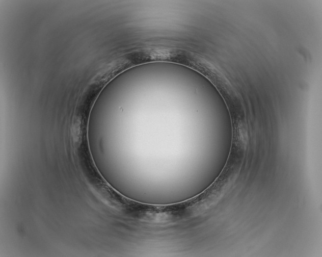 X0000112900311200908211522