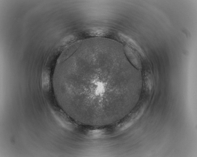 X0000112900312200908211522