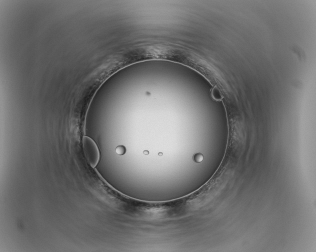 X0000112900313200908211522