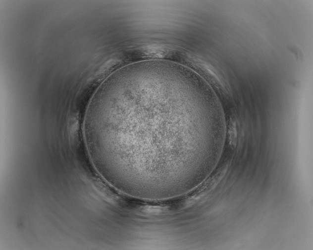 X0000112900314200908211522