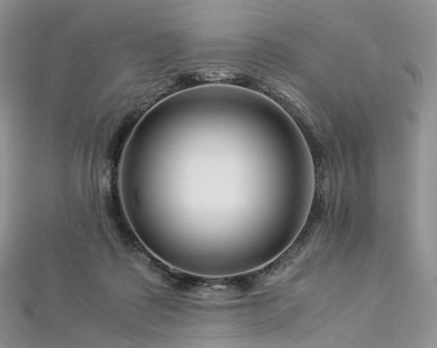 X0000112900315200908211522