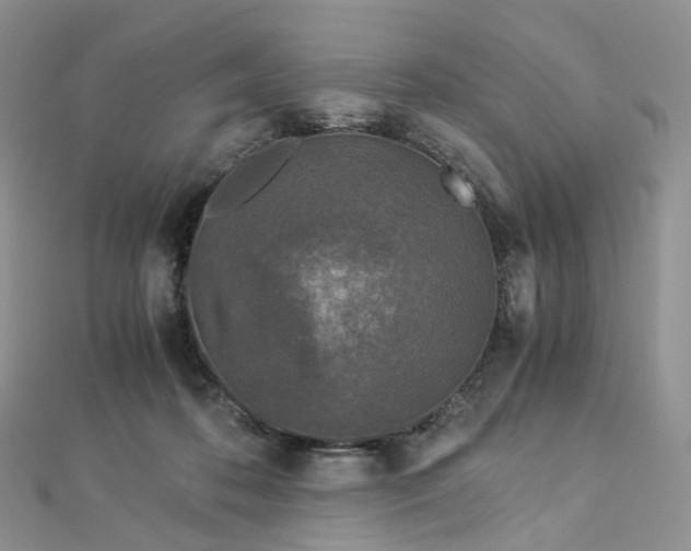 X0000112900316200908211522