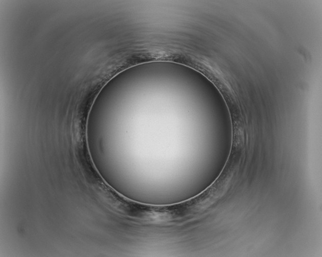 X0000112900317200908211522