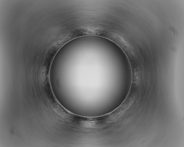 X0000112900318200908211522