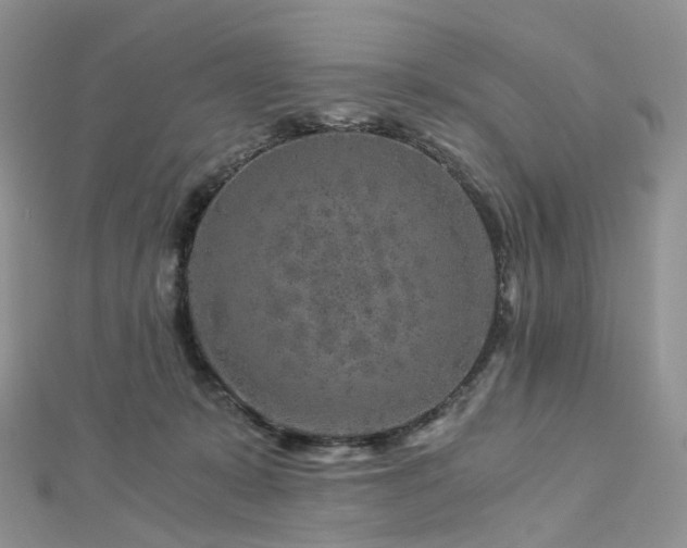 X0000112900319200908211522