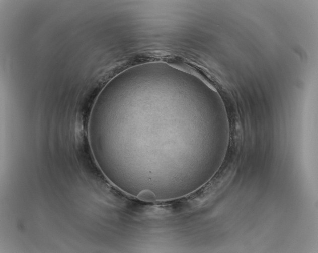 X0000112900320200908211522