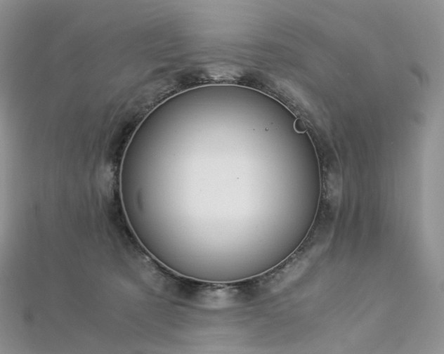 X0000112900321200908211522