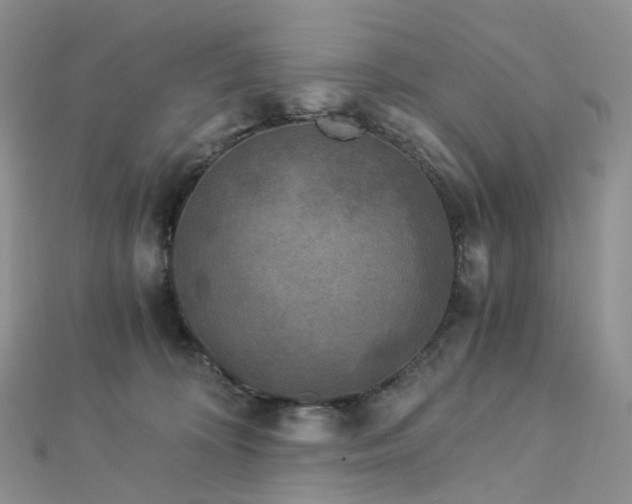 X0000112900324200908211522