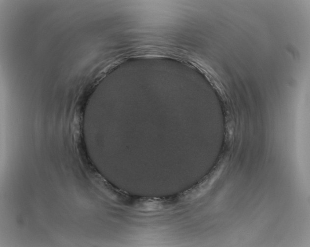 X0000112900325200908211522